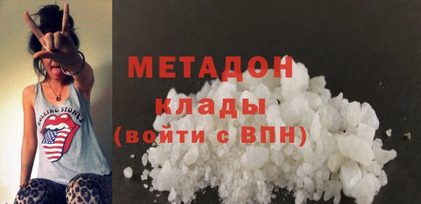 прущие грибы Богданович