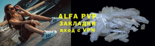 прущие грибы Богданович