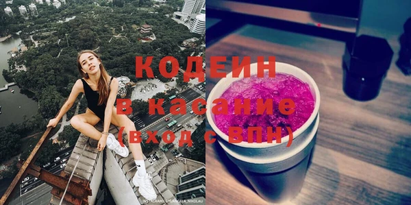 прущие грибы Богданович