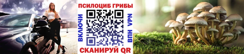 Галлюциногенные грибы Magic Shrooms  Купить закладки  Бикин 